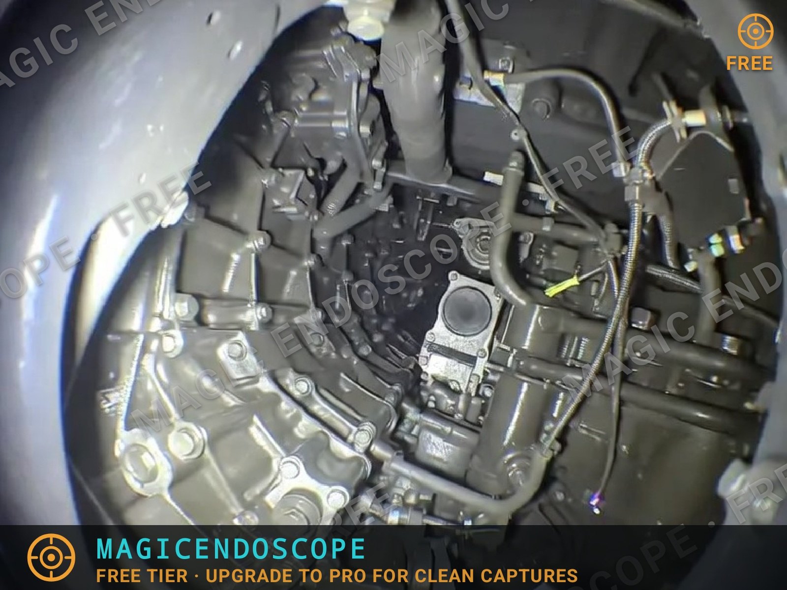 Photo saved by Magic Endoscope Free: the inspection image with a tiled watermark, a bottom strip and a corner badge, and no ruler