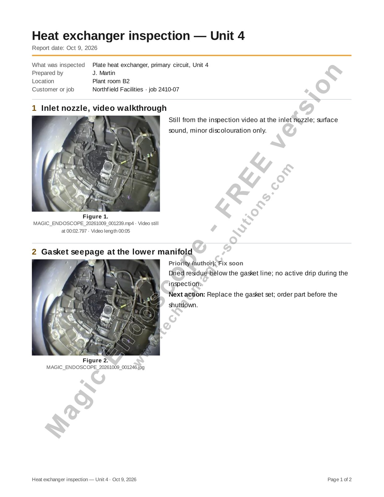Illustration of a Magic Endoscope report page as a Free user sees it in the app, with a diagonal Magic Endoscope - FREE version mark across the page